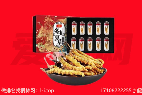 定西市岷县回收虫草.jpg